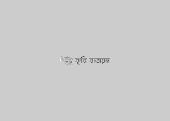 নিরাপদ সবজি